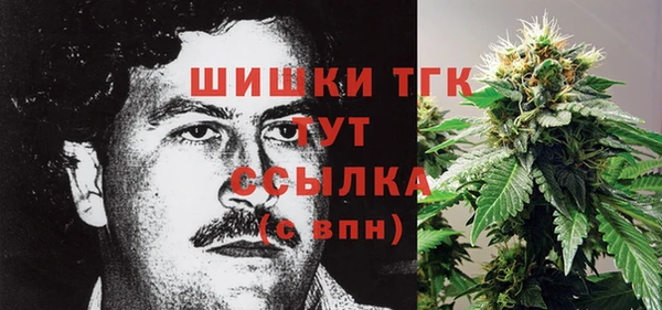 МДПВ Верея