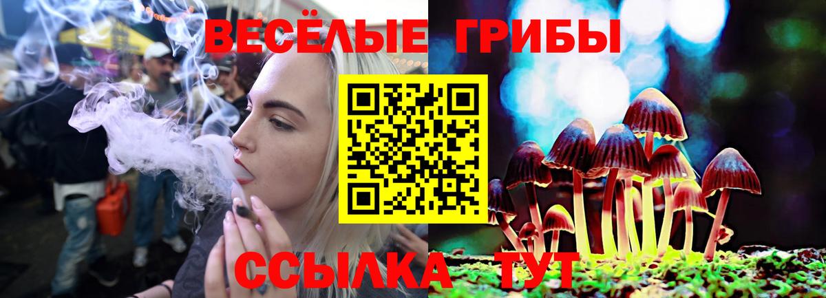 Галлюциногенные грибы Cubensis Нальчик